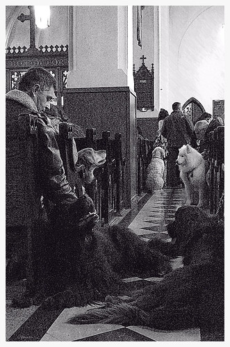 Blessing of the Animals - for the love of Dog by Wanderfull1