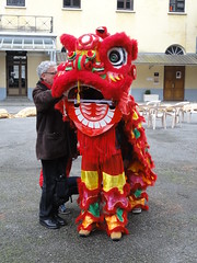 Chinese New Year /// Nouvel An Chinois