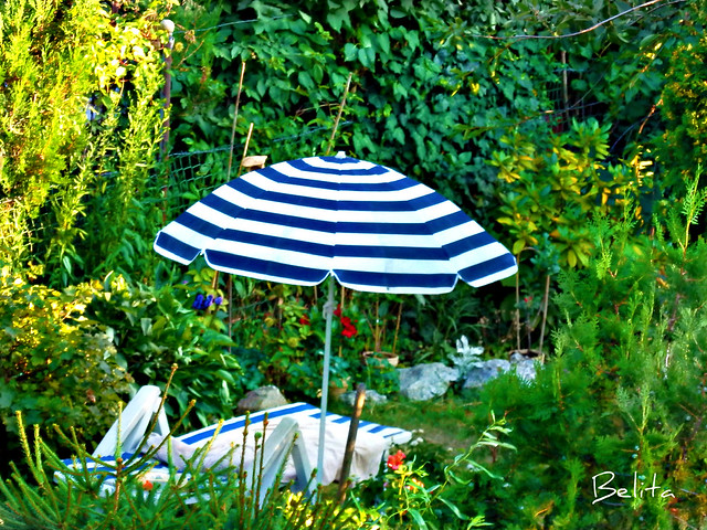 BLUE AND WHITE STRIPED PARASOL