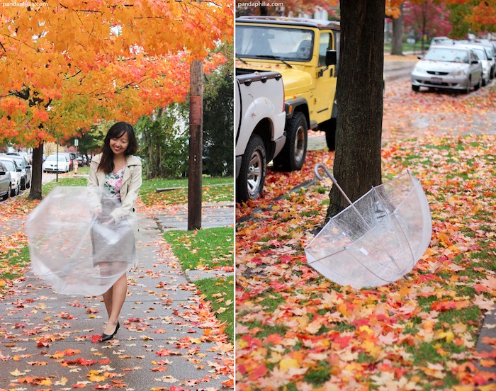 spinning clear bubble umbrella fall leaves