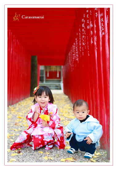 七五三　出張撮影　八王子神社　愛知県瀬戸市　家族写真　子供写真　屋外撮影　Nature Garden