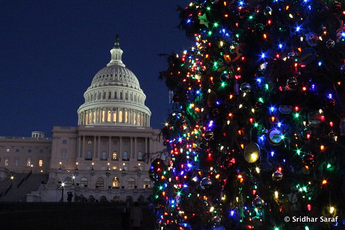 Capitol Christmas Tree Lighting, Washington DC (USA) - Dec 2013