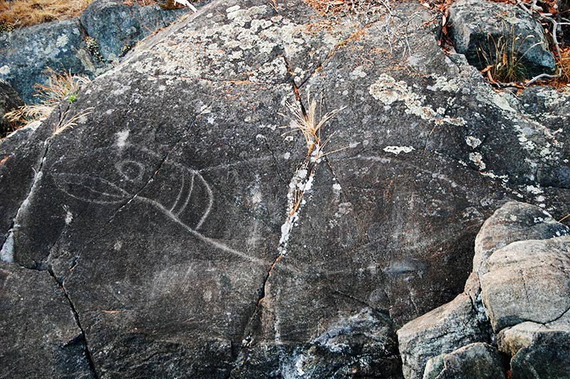 Petroglyph at Alldridge Point in East Sooke Park, Sooke, Victoria, Vancouver Island, British Columbia, Canada