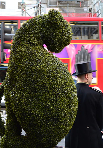 Topiary and Top Hat