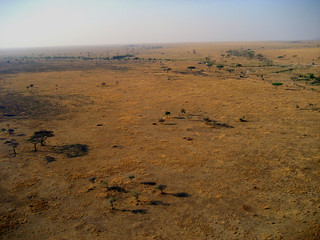 Serengeti von oben