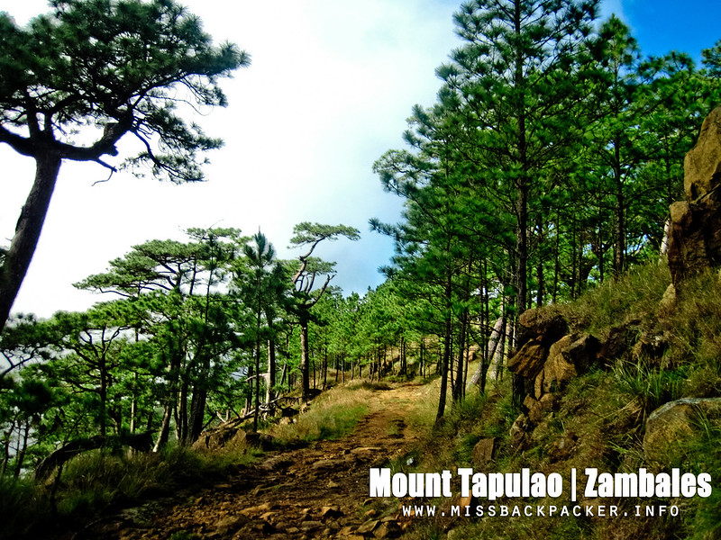 Mount Tapulao