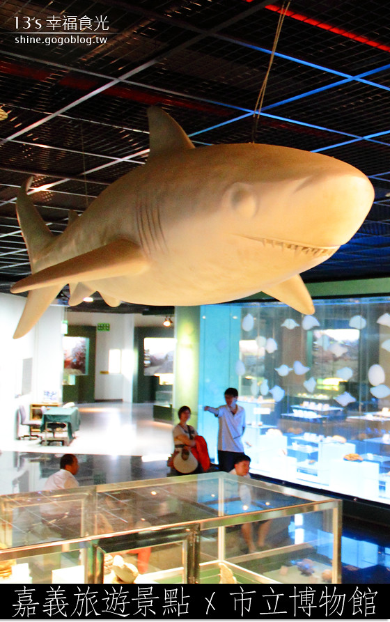 【嘉義旅遊景點】嘉義市立博物館～長毛象和白鯊在博物館出沒-13's幸福食光-旅遊美食部落格