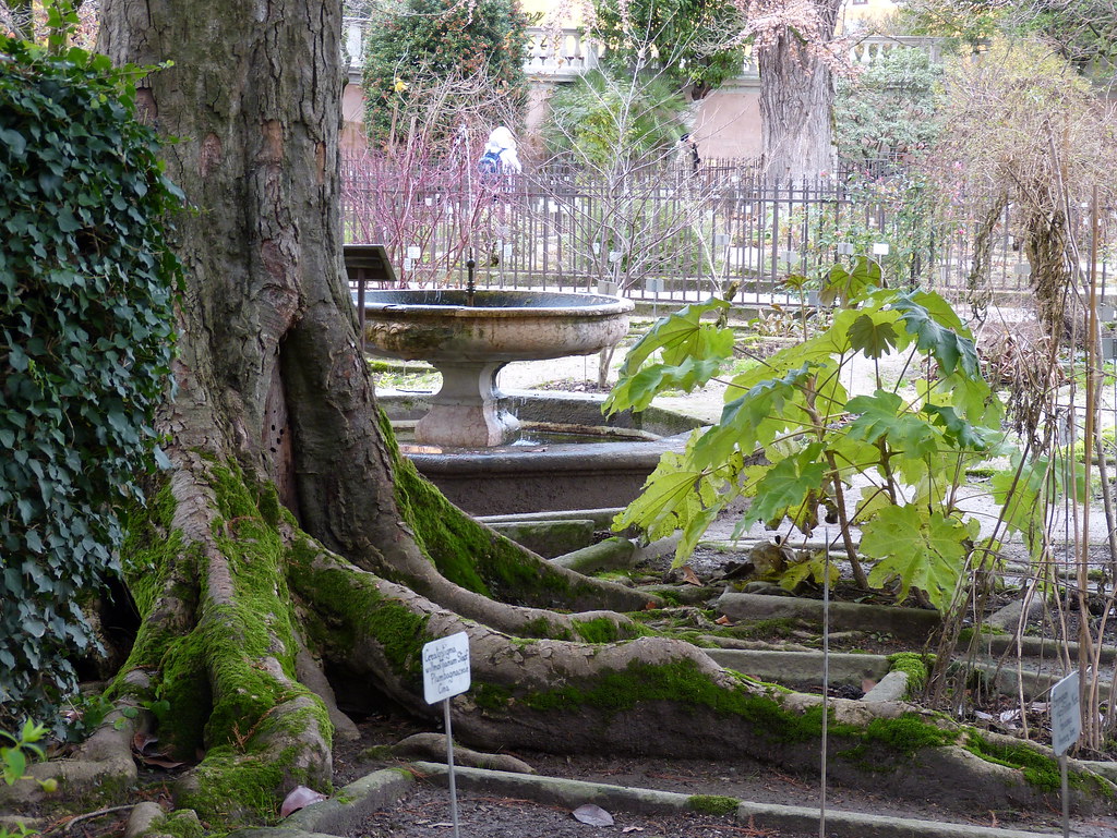 Giardino botanico, Padova