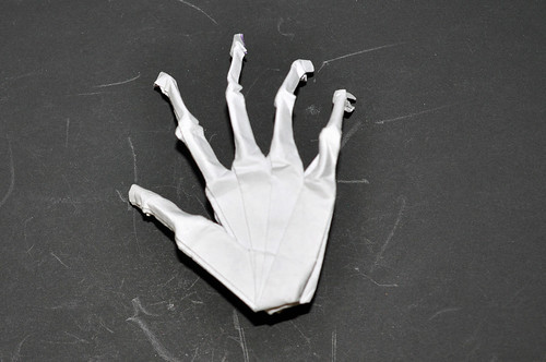Hand Skeleton
