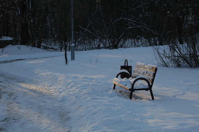 Benches_in_the_winter_2014(07)