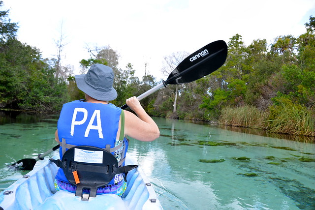 Paddling Adventures on the Weeki Wachee Springs, Florida