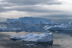 Arctic (Greenland, Iceland, Alaska) 