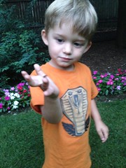 Leighton catches his first firefly by Guzilla