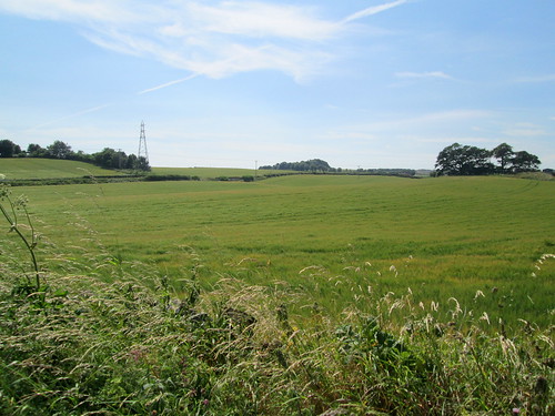 fields near Kirkcaldy,