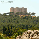 Castel Del Monte, Andria, 2013