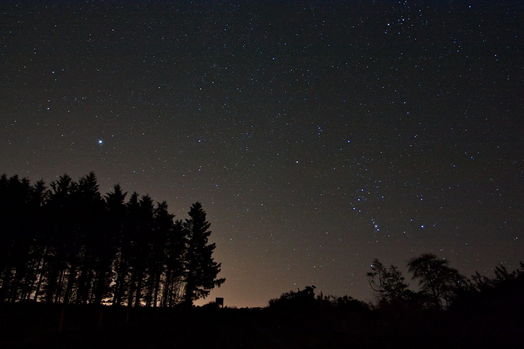 Orion and the skies of Winter