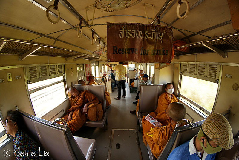 lopburi blog voyage thailande photo monkey