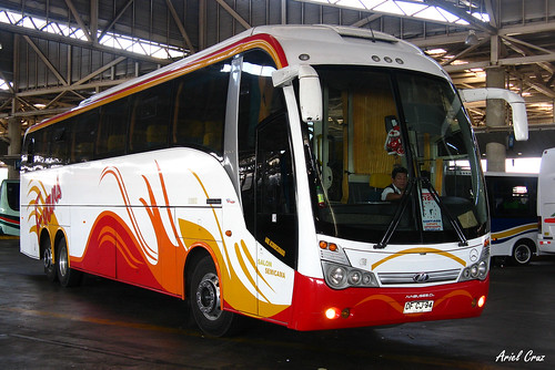 Buses Evans en Terminal San Borja | Maxibus Lince 3.65 / DFCJ94