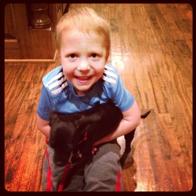 Owen couldn't be more thrilled with our dog sitting for three days. #overLOVE