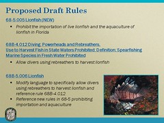Lionfish Proposed Draft Rules