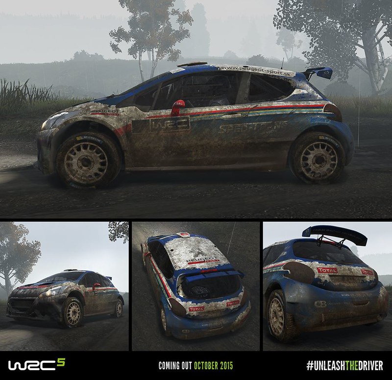 WRC 5 Dirt effects