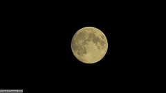 The Moon- Lunar