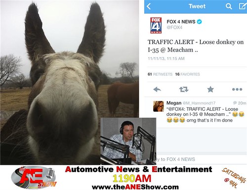 The ANE Show listeners were worried the other day when a news report said that a donkey was on the loose in the Dallas Fort Worth area. by theaneshow