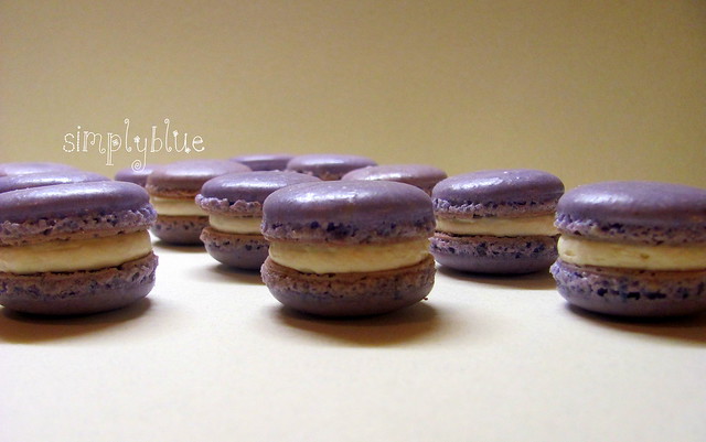 violet macarons