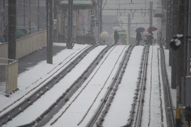 Tokyo Train Story 東京雪景色 都電荒川線 2014年2月14日