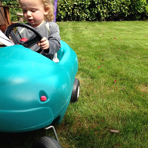 Transport #fmsphotoaday Molly riding in her favorite car!