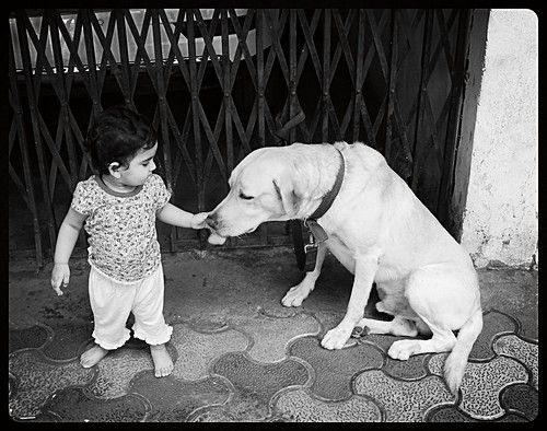 Healing A Dog By Touch by firoze shakir photographerno1