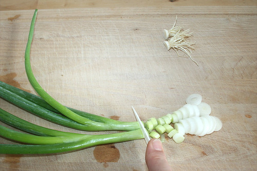 14 - Frühlingszwiebeln in Ringe schneiden / Cut spring onions in rings