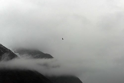 Eagle flying High Mist Mountains Bird