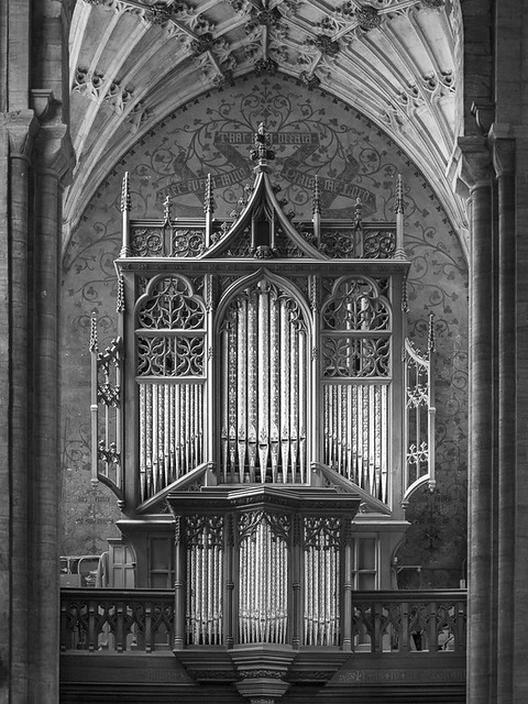 Organ in Sherborne Abbey