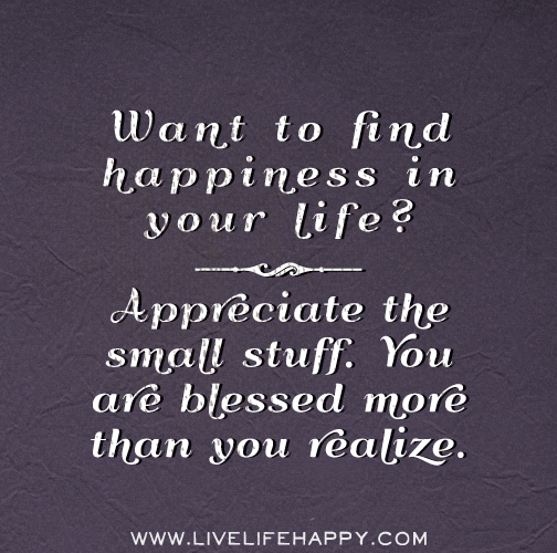 Want to find happiness in your life? Appreciate the small stuff. You are blessed more than you realize.
