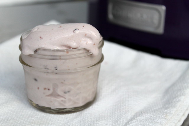 Homemade Jam Ice Cream - vegan & gluten free