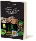 Introduzione alla flora e fauna del Borneo Sabah e Sarawack