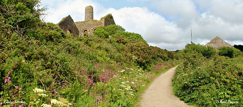 Wheal Francis by Stocker Images