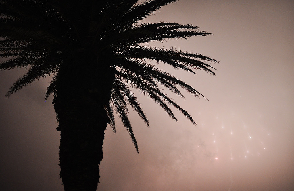 Bentenjima Fireworks - Gray Palm
