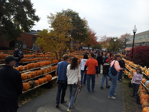 Keene's Record-Breaking Pumpkin Festival