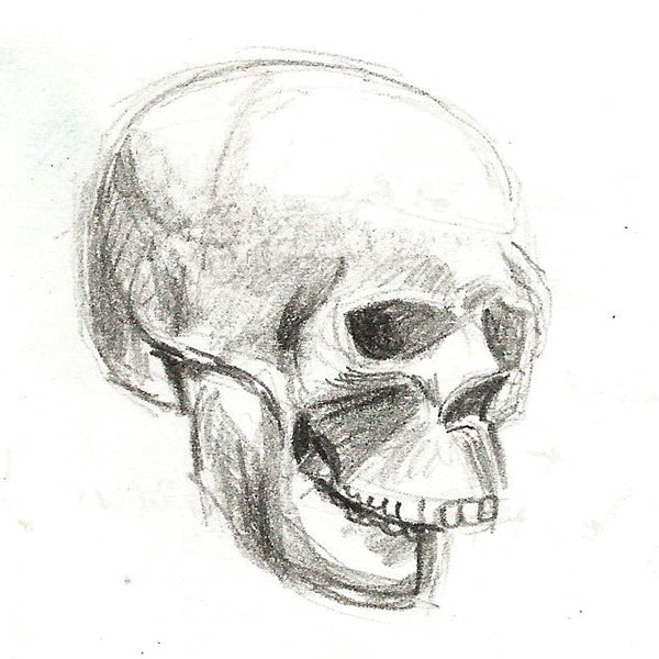 Skull_Sketch_01