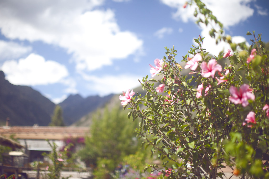 Peruvian nature in the Sacred Valley