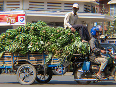 Cambodia--Phnom Penh