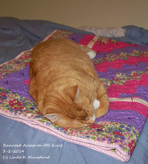 100_9088 - Railroad Asleep on HIS Quilt - 3-2-2014
