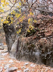 October 28, 2012 (Rock Canyon/SLC/Provo River Trail)