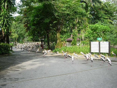 National Zoo, Malaysia