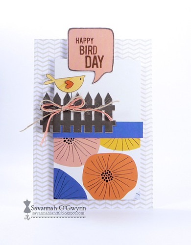 Happy Bird Day (FSS birthday post)