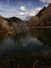 March 29, 2013 (Provo River Trail/Provo Canyon)