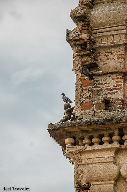 pigeons on temple top ammapalle shamshabad