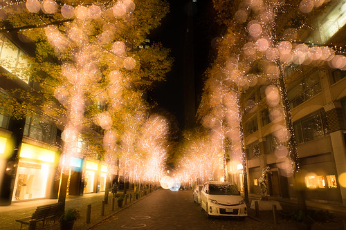 Light decoration in Marunouchi, Tokyo - 無料写真検索fotoq